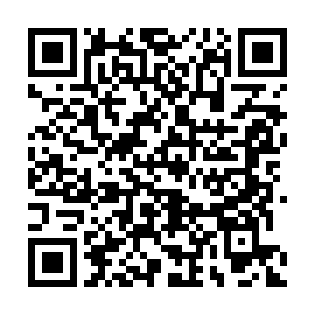QR code to add this pass to Google Wallet